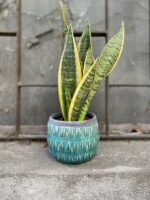 Zdjęcie Osłonka Moss 9x9 cm w kategorii doniczki, ujęcie 1