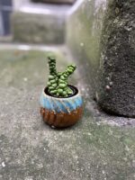 Zdjęcie Osłonka Breeze 6x6 cm w kategorii doniczki, ujęcie 2