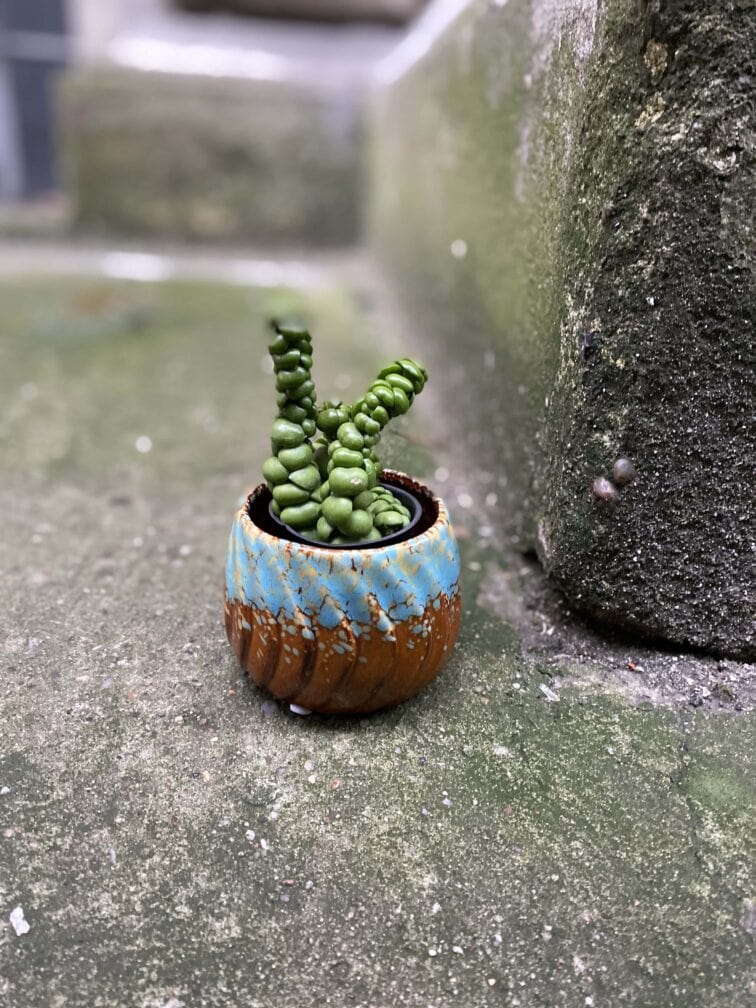 Zdjęcie Osłonka Breeze 6x6 cm w kategorii doniczki, ujęcie 2