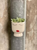 Zdjęcie doniczki lub oslonki: Osłonka sliping lady 6x7 cm, ujęcie 3