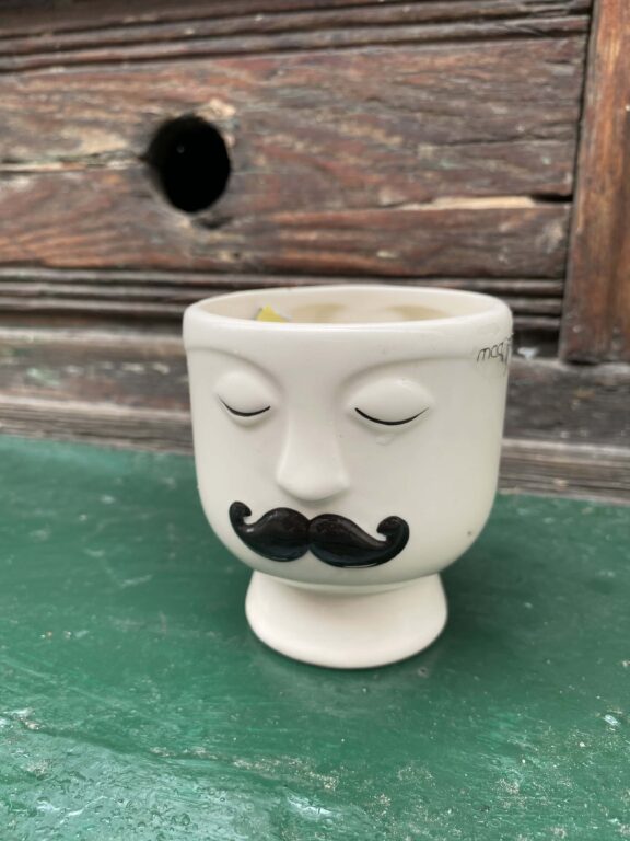 Zdjęcie doniczki lub oslonki: Osłonka magnetyczna Mister 7x6 cm, ujęcie 1