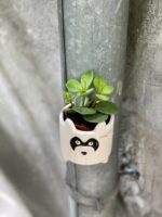 Zdjęcie doniczki lub oslonki: Osłonka magnetyczna Szop 6x6 cm, ujęcie 2