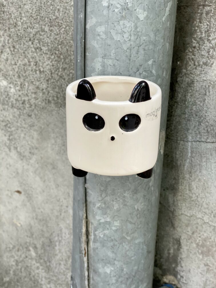 Zdjęcie doniczki lub oslonki: Osłonka magnetyczna Panda 6x6 cm, ujęcie 3