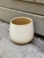 Zdjęcie doniczki lub oslonki: Osłonka Shabby 9x10 cm, ujęcie 1