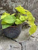 Zdjęcie doniczki lub oslonki: Osłonka Ostry Cień Mgły 12x13 cm, ujęcie 2