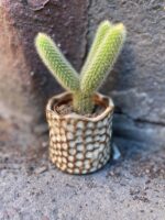 Zdjęcie doniczki lub oslonki: Osłonka Szarpan 5x6 cm, ujęcie 2
