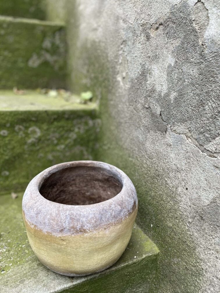 Zdjęcie doniczki lub oslonki: Osłonka Siegward 12x13 cm, ujęcie 3