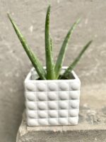 Zdjęcie doniczki lub oslonki: Oslonka Śnieżna Pantera 11x12 cm, ujęcie 2
