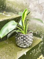 Zdjęcie doniczki lub oslonki: Osłonka Pinapple Silver 12x12 cm, ujęcie 2