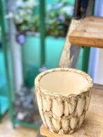 Zdjęcie doniczki lub oslonki: Osłonka Ivory 11x12 cm, ujęcie 3