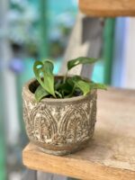 Zdjęcie doniczki lub oslonki: Osłonka Portyk 7x8 cm, ujęcie 2