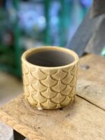 Zdjęcie doniczki lub oslonki: Osłonka Daina 7x7 cm, ujęcie 1