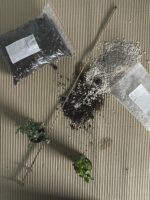 Zdjęcie akcesoria Chwytak do terrarium 72cm, ujęcie 1