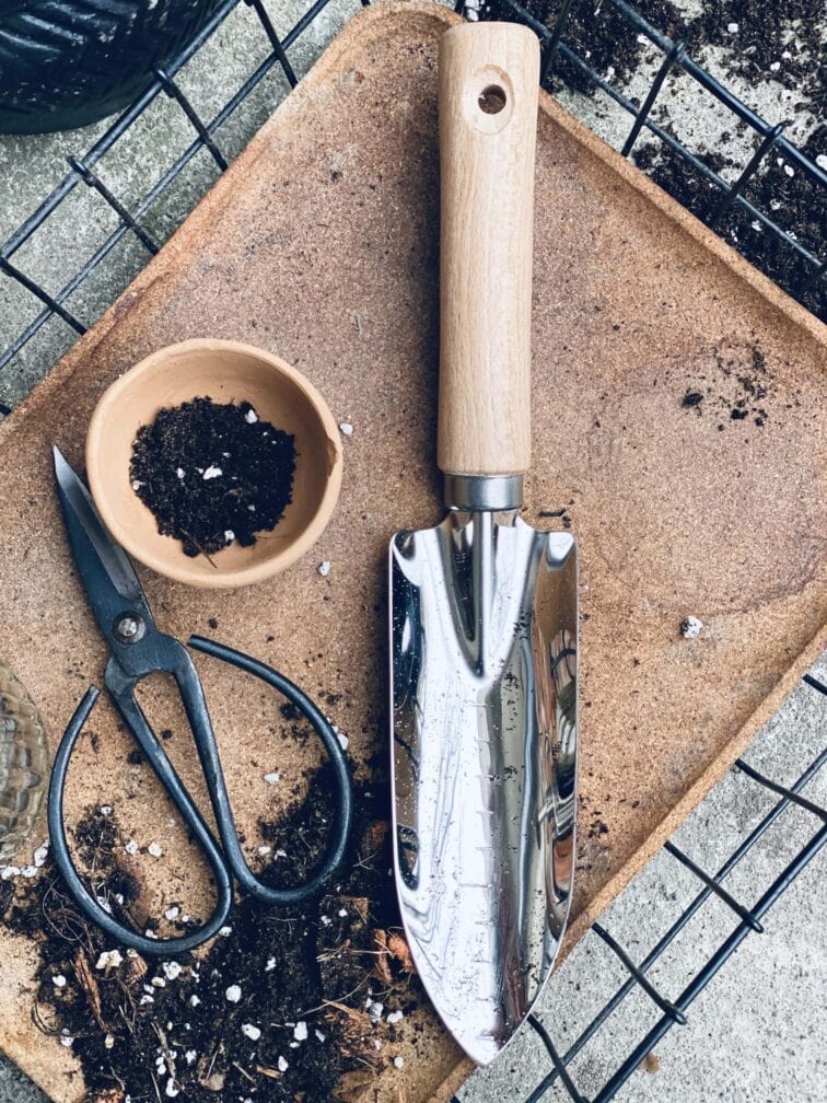 Zdjęcie akcesoria Łopatka Ib Laursen 28cm, ujęcie 1