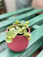 Zdjęcie doniczki lub oslonki: Osłonka Rasberry 12x12 cm, ujęcie 2