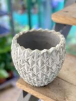Zdjęcie doniczki lub oslonki: Osłonka Rysy 13x18 cm, ujęcie 1