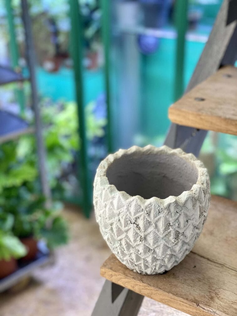 Zdjęcie doniczki lub oslonki: Osłonka Rysy 13x18 cm, ujęcie 3