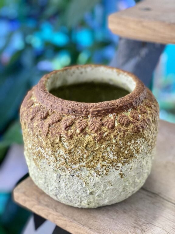 Zdjęcie doniczki lub oslonki: Osłonka Tiramisu 10x14 cm, ujęcie 1