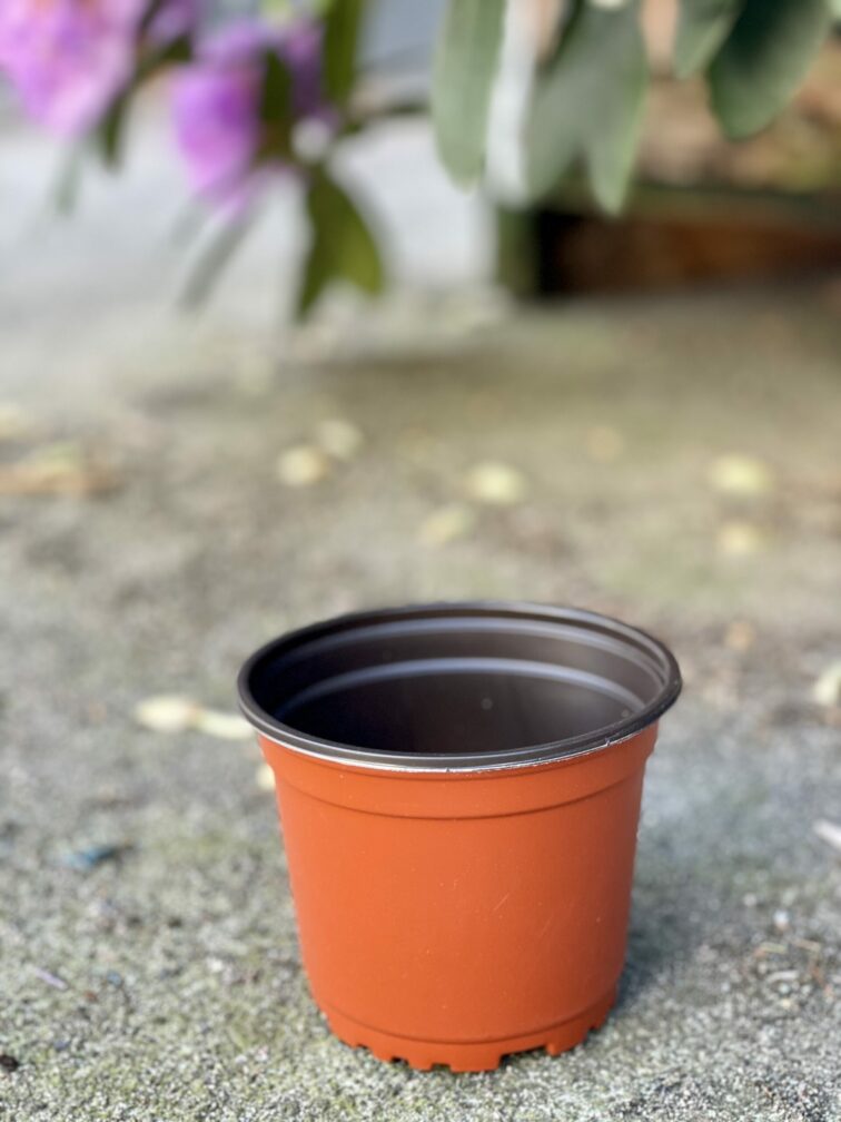 Zdjęcie doniczki lub oslonki: Doniczka plastikowa 11x9 cm, ujęcie 1