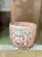 Zdjęcie doniczki lub oslonki: Osłonka Aslan 7x8 cm, ujęcie 1