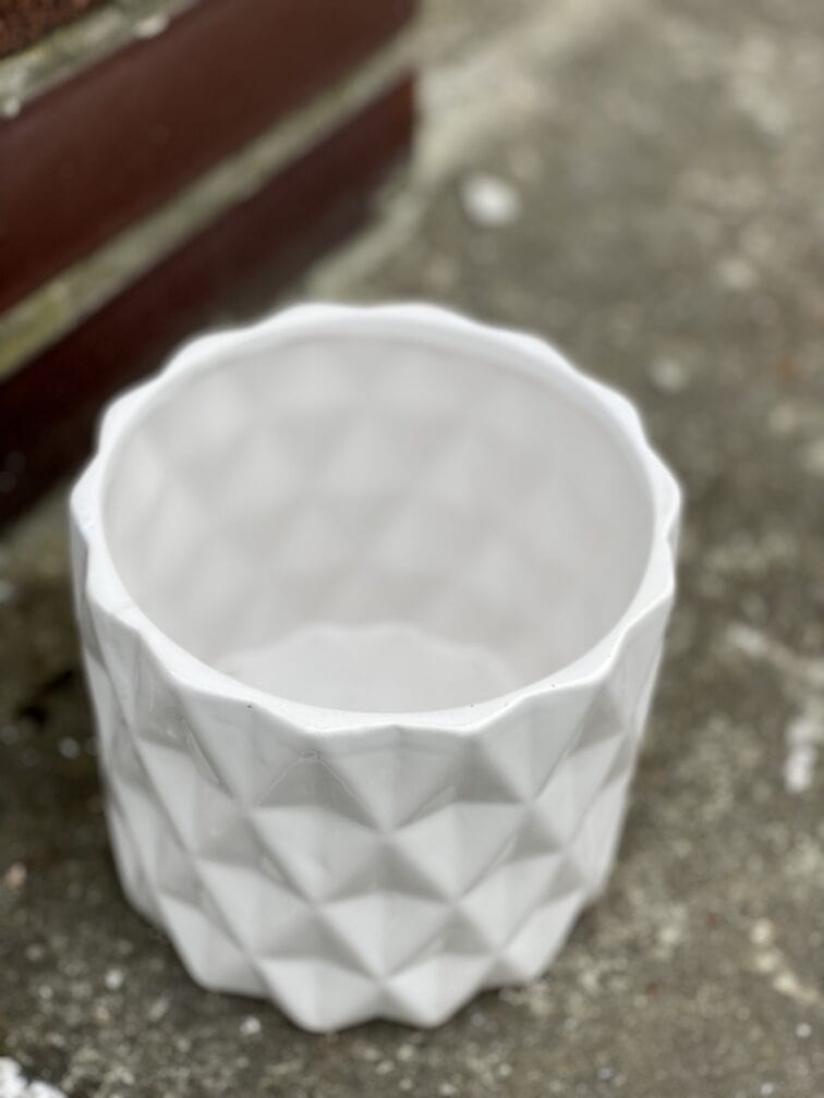 Zdjęcie doniczki lub oslonki: Osłonka Cylinder White 12x13 cm, ujęcie 3