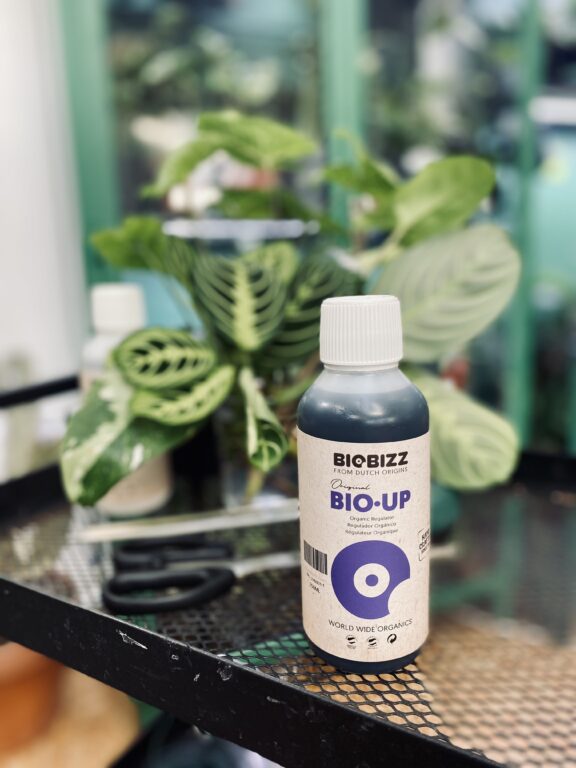 Zdjęcie akcesoria BioBizz regulator pH Bio-Up 250 ml, ujęcie 1
