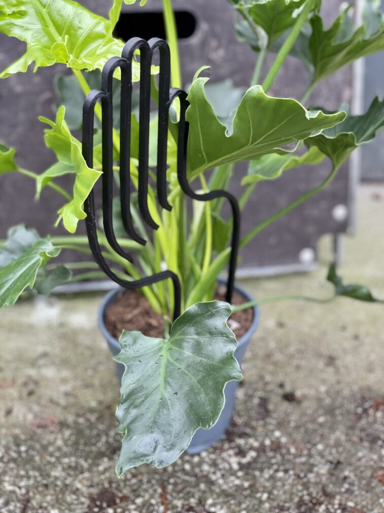 Zdjęcie akcesoria Drabinka Mano 38 cm, ujęcie 3
