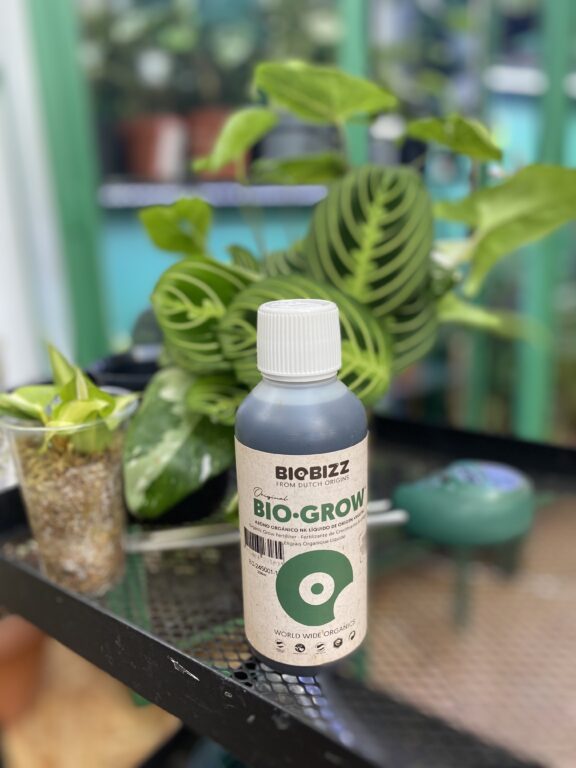 Zdjęcie akcesoria Nawóz organiczny Bio-Grow BioBizz 250 ml, ujęcie 1