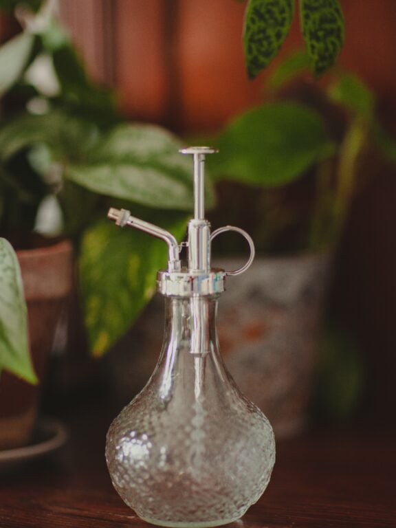 Zdjęcie akcesoria Spryskiwacz szklany 300ml, ujęcie 1