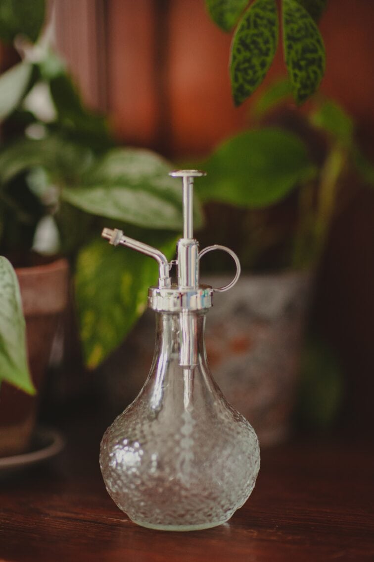 Zdjęcie akcesoria Spryskiwacz szklany 300ml, ujęcie 1