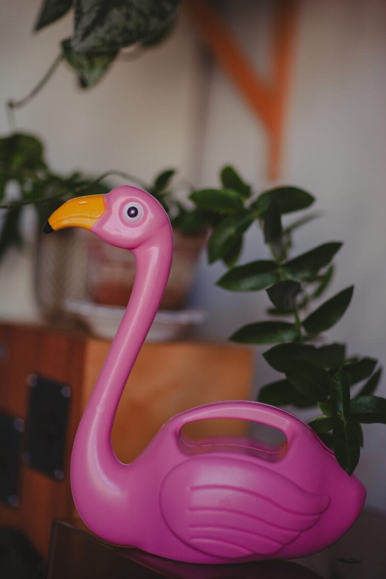 Zdjęcie akcesoria Konewka plastikowa Flaming 1,5l, ujęcie 1
