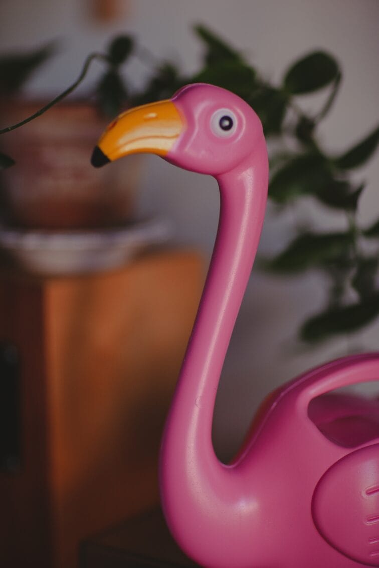 Zdjęcie akcesoria Konewka plastikowa Flaming 1,5l, ujęcie 2