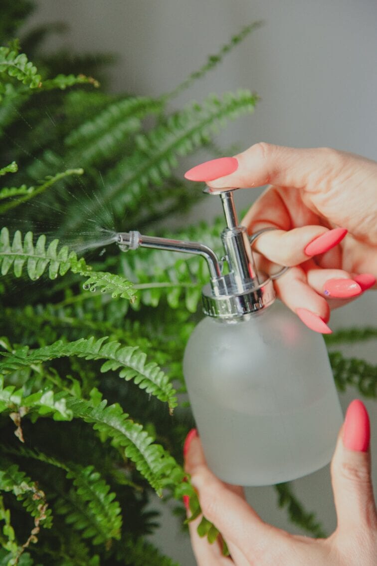 Zdjęcie akcesoria spryskiwacz mleczny 200 ml, ujęcie 3