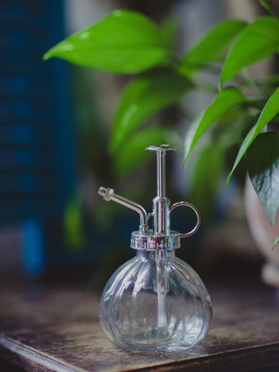 Zdjęcie akcesoria Spryskiwacz szklany 200 ml, ujęcie 1