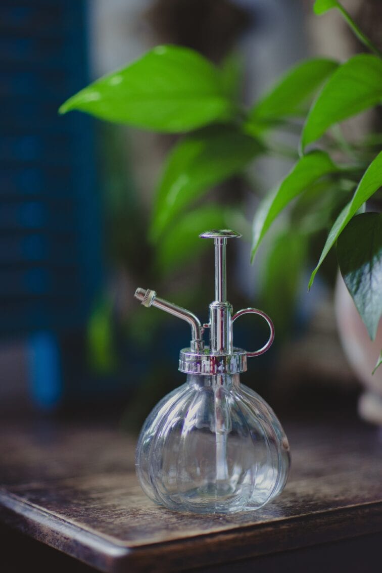 Zdjęcie akcesoria Spryskiwacz szklany 200 ml, ujęcie 1