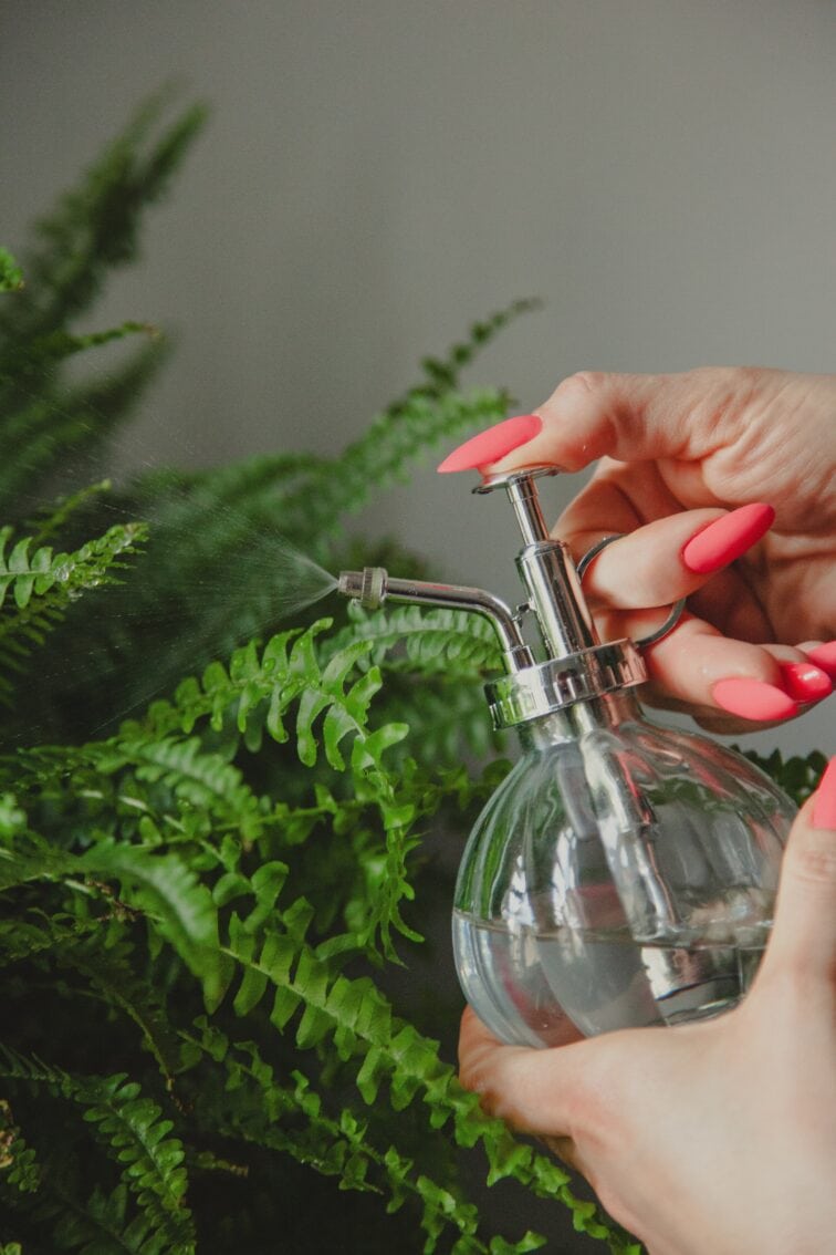 Zdjęcie akcesoria Spryskiwacz szklany 200 ml, ujęcie 3