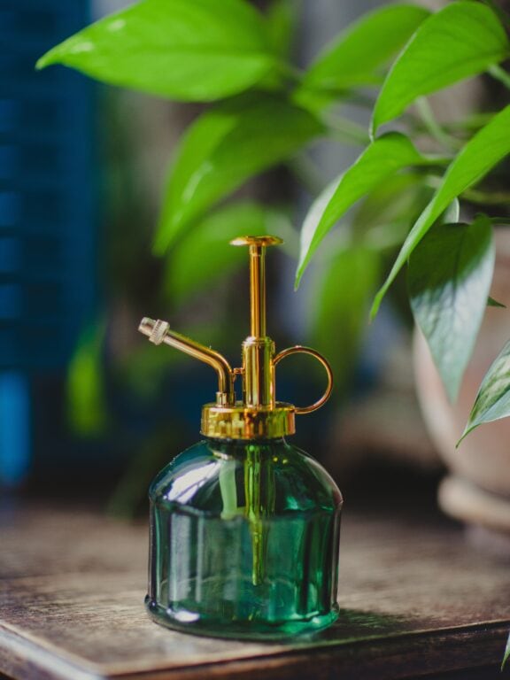 Zdjęcie akcesoria Spryskiwacz Zielony 200 ml, ujęcie 1