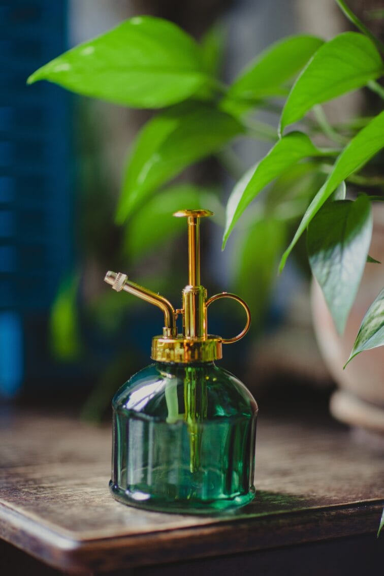Zdjęcie akcesoria Spryskiwacz Zielony 200 ml, ujęcie 1