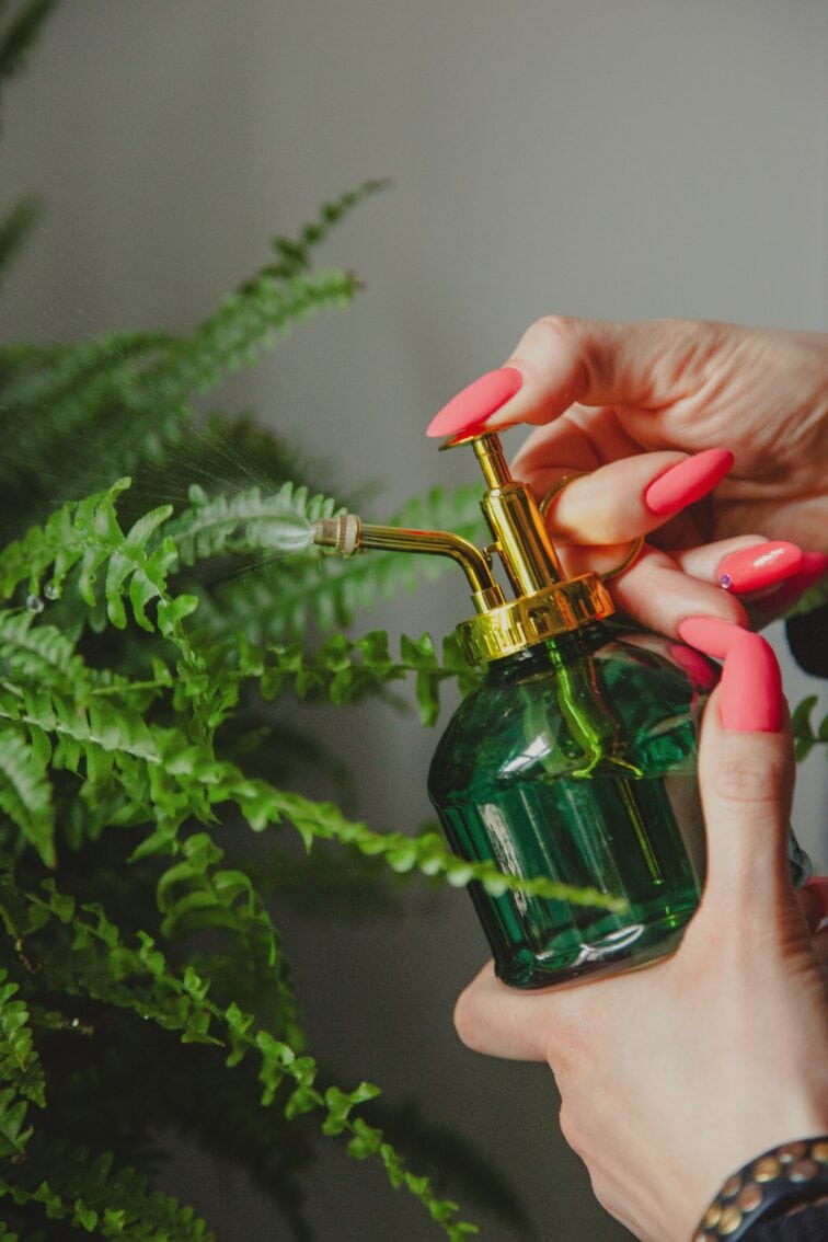 Zdjęcie akcesoria Spryskiwacz Zielony 200 ml, ujęcie 3