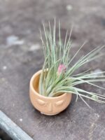 Zdjęcie doniczki lub oslonki: Osłonka Beauty 6 × 6 cm, ujęcie 2