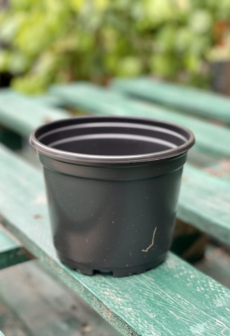 Zdjęcie doniczki lub oslonki: Doniczka plastikowa czarna 14x11, ujęcie 1