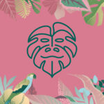 Jungle Boogie Studio Zieleni Jungle Boogie Studio Zieleni