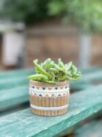 Zdjęcie doniczki lub oslonki: Osłonka Barrel 6 × 6 cm, ujęcie 2