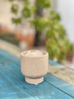 Zdjęcie doniczki lub oslonki: Osłonka Korek 6x7cm, ujęcie 3