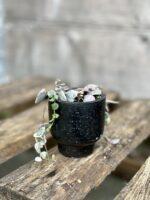 Zdjęcie doniczki lub oslonki: Osłonka Korek Black 6x7cm, ujęcie 2