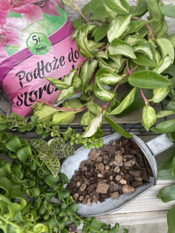 Zdjęcie akcesoria Podłoże do epifitów 5l, ujęcie 1