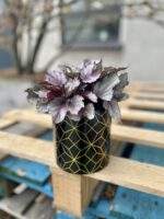 Zdjęcie doniczki lub oslonki: Osłonka Geometry Black 12x13 cm, ujęcie 2