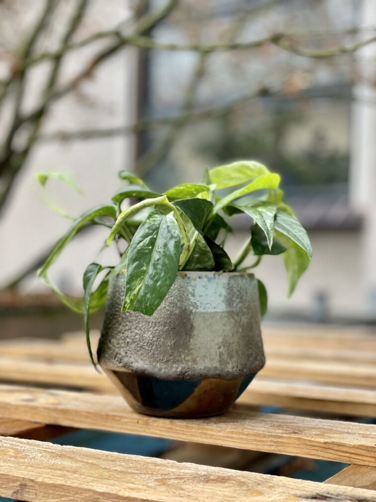 Zdjęcie doniczki lub oslonki: Osłonka Saturn 12 × 12 cm, ujęcie 4
