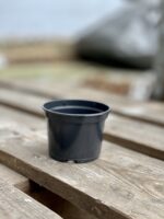 Zdjęcie doniczki lub oslonki: Doniczka plastikowa czarna 9x7, ujęcie 1