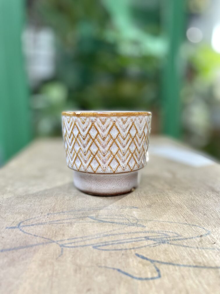 Zdjęcie doniczki lub oslonki: Osłonka Diamond 6x6 cm, ujęcie 1